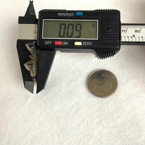 Alpaca Silver Mexico 1.5" Abalone Shell Glitter Butterfly Brooch - Picture 15 of 15